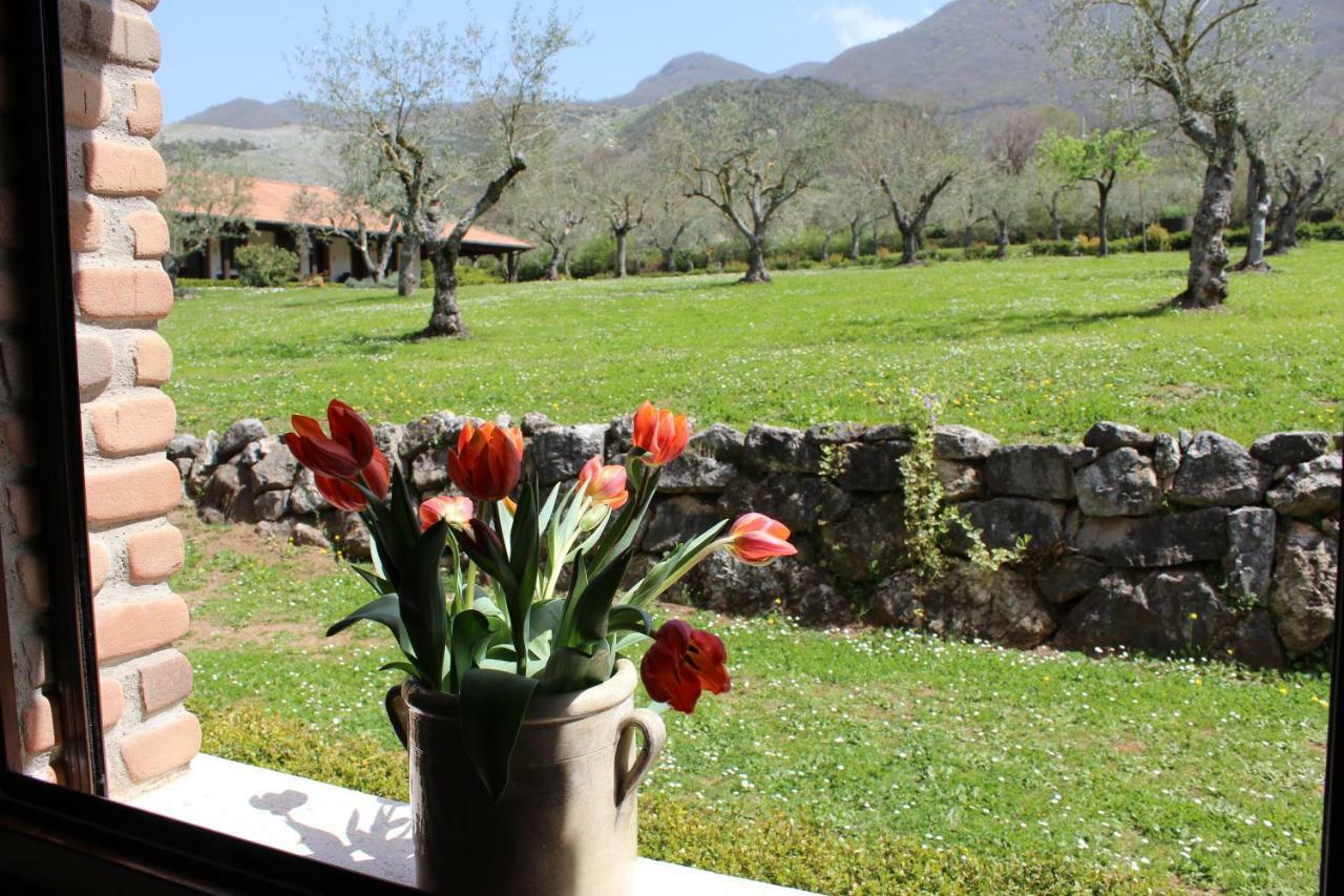 Agriturismo Il Castagneto بادولا المظهر الخارجي الصورة