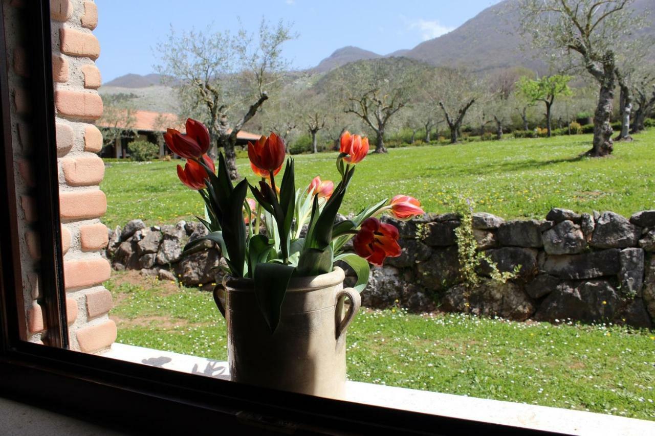 Agriturismo Il Castagneto بادولا المظهر الخارجي الصورة
