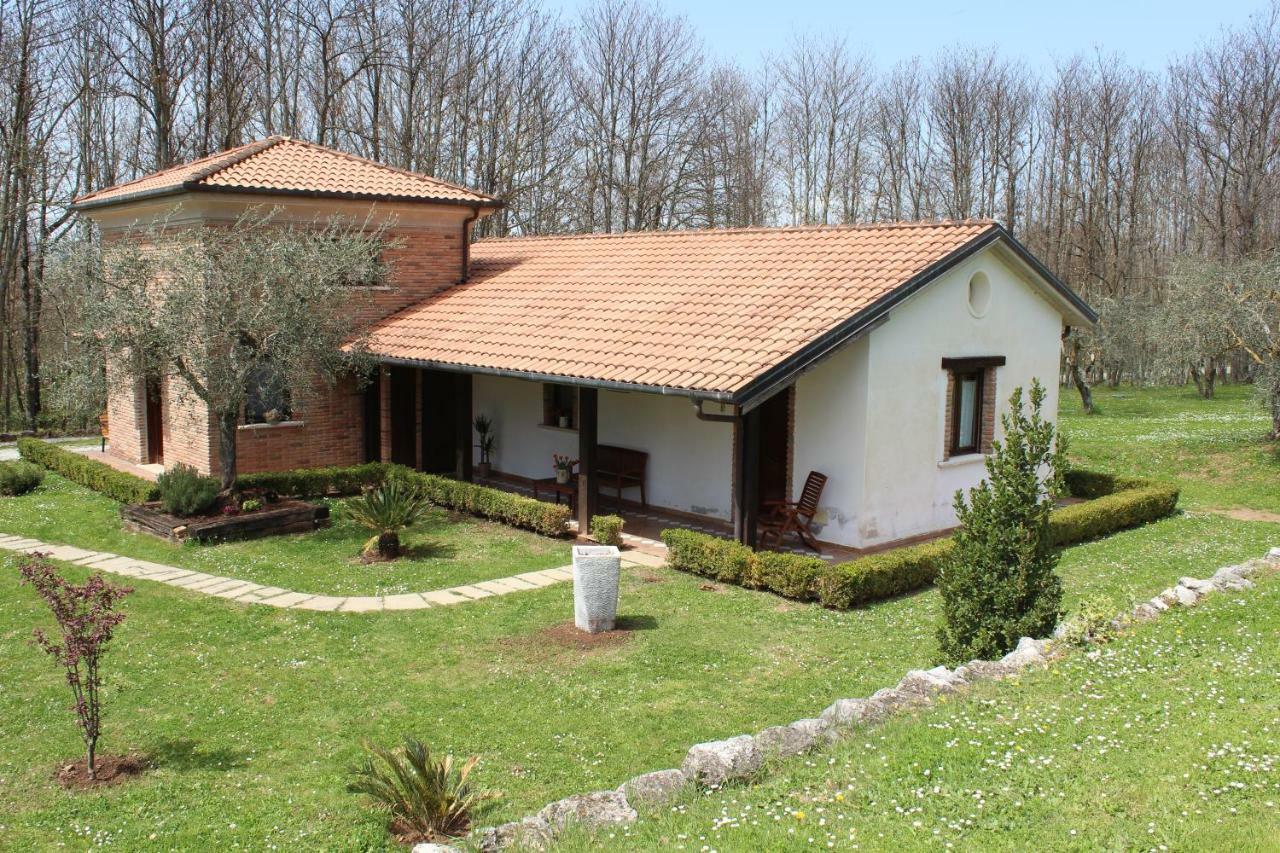 Agriturismo Il Castagneto بادولا المظهر الخارجي الصورة